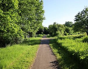 Rustig pad omringd door natuur bij Vakantiehuisje in Oldeholtpade op het Friese platteland in Friesland.