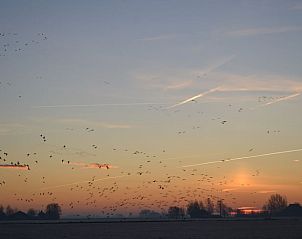 Adembenemende zonsondergang bij Vakantiehuisje in Ferwoude, met vogels in de lucht boven Friesland.