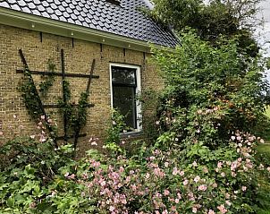 Bloementuin bij Huisje in Wijnaldum, vakantiehuis op het Friese platteland.
