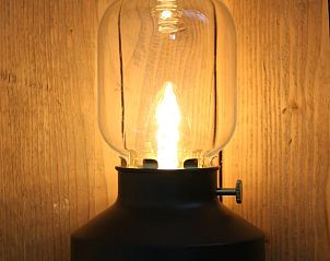 Kippen in de tuin van Huisje in Wijnaldum, vakantiehuis op het Friese platteland.