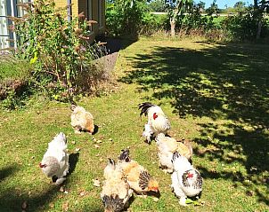 Uitzicht op de zee nabij Huisje in Wijnaldum, vakantiehuis in Friesland.