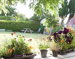 Bloemen op het terras van Huisje in Winaam, een vakantiewoning in Wijnaldum, Friesland, met uitzicht op de tuin.