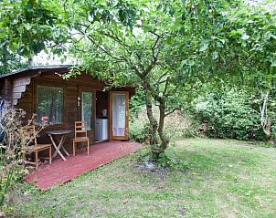 Knusse houten hut in de tuin van Huisje in Winaam, een vakantiehuis in Wijnaldum, Friesland.