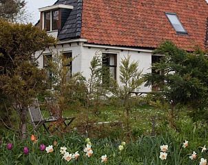 Voorjaarstuin van Huisje in Winaam, een vakantiehuis in Wijnaldum, Friesland, met kleurrijke bloemen.