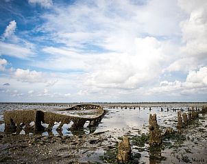 Unterkunft 2613103 - Ferienhaus Het Friese platteland - Vakantiehuisje in Oostrum/Dokkum