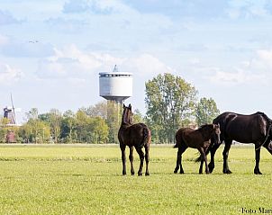 Unterkunft 2613103 - Ferienhaus Het Friese platteland - Vakantiehuisje in Oostrum/Dokkum
