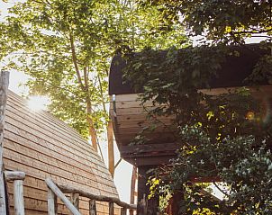Unterkunft 2613104 - Ferienhaus Het Friese platteland - Vakantiehuis in Oostrum/Dokkum