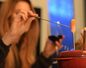 Unterkunft 2613106 - Ferienhaus Het Friese platteland - Vakantiehuisje in Oostrum/Dokkum