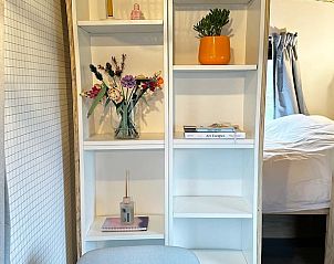 Decoratieve plank met boeken en bloemen in Vakantiehuis in Eastermar, Friesland.