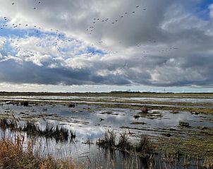 Rustgevend uitzicht op het Friese platteland vanuit Huisje in De Westereen, vakantiehuis in De Westereen, Friesland.