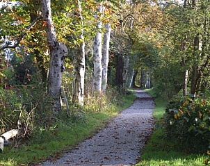 Verken de pittoreske wandelpaden rondom Vakantiehuisje in Munnekeburen, gelegen in de natuur van Friesland.
