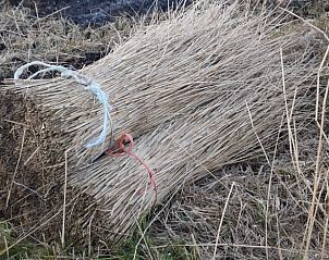 Unterkunft 2614006 - Ferienhaus Het Friese platteland - Vakantiehuisje in Munnekeburen