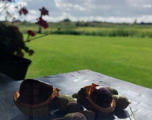 Herfstdecoratie op tafel met uitzicht op het Friese platteland bij Vakantiehuisje in Munnekeburen.