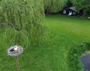 Uitzicht op ooievaarsnest en groene omgeving bij Vakantiehuisje in Munnekeburen.