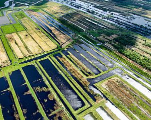 Waterrijk landschap bij Vakantiehuisje in Munnekeburen, Friesland.