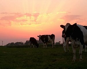 Winterlandschap bij vakantiehuis FR1013 in Lollum, Friesland met besneeuwde bomen.