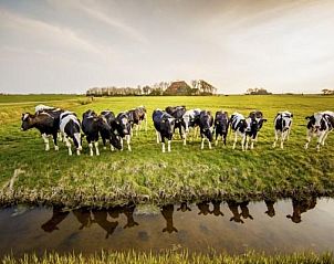 Rustige waterkant bij vakantiehuis FR1013 in het Friese platteland, Lollum.