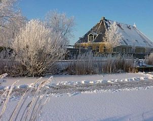 Koeien grazen in de velden nabij vakantiehuis FR1013, Lollum, Friesland.