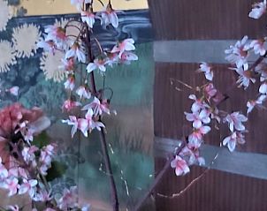 Moderne keuken in Vakantiehuis in Drogeham, met eethoek en authentiek houten meubel.