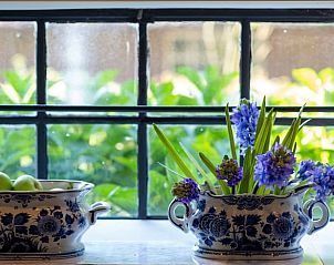 Vensterbank met bloemen in Huisje in Drogeham, vakantiehuis in Friesland met uitzicht op de tuin.