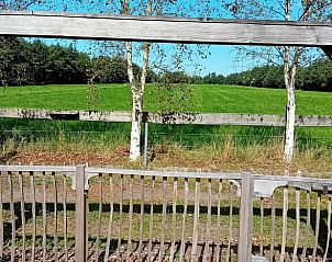 Prachtig uitzicht op groene weiden vanuit Vakantiehuisje in Drogeham, Friesland, ideaal voor natuurliefhebbers.