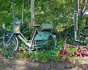 Vintage fietsen bij Vakantiehuisje in Drogeham, Friesland, om de omgeving te verkennen.
