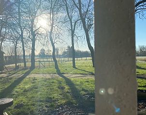 Uitzicht vanuit Vakantiehuisje in Longa op het Friese platteland in de ochtendzon.