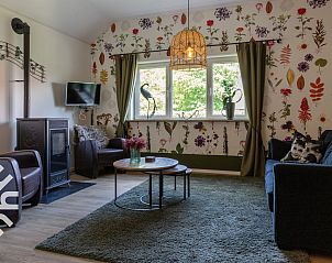 Gezellige woonkamer in vakantiehuis FR365 in Sonnega, Friesland.