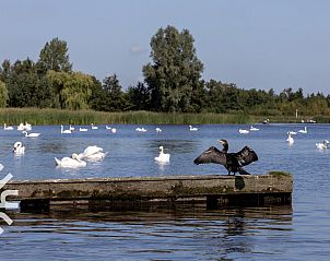 Buitenkant van vakantiehuis FR365 in Sonnega, Friesland.