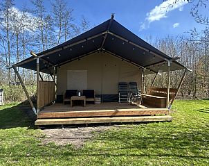Unterkunft 2615002 - Zelthaus Het Friese platteland - Safaritent