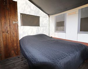 Verblijf 2615007 - Tenthuis Het Friese platteland - Safaritent «'Gaadlik'»