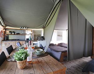 Verblijf 2615007 - Tenthuis Het Friese platteland - Safaritent «'Gaadlik'»