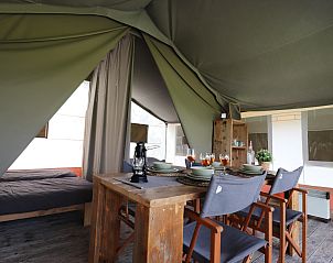 Verblijf 2615007 - Tenthuis Het Friese platteland - Safaritent «'Gaadlik'»