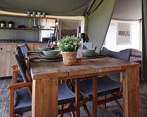 Verblijf 2615007 - Tenthuis Het Friese platteland - Safaritent «'Gaadlik'»