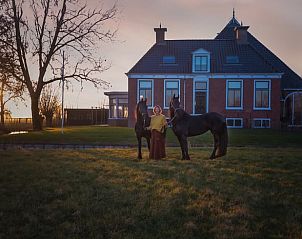 Huisje in Wytgaard, vakantiehuis in Friesland met paarden in de avondzon op het Friese platteland.