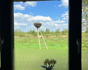 Panoramisch uitzicht op het Friese platteland vanuit vakantiehuis in Spanga met veel groen.