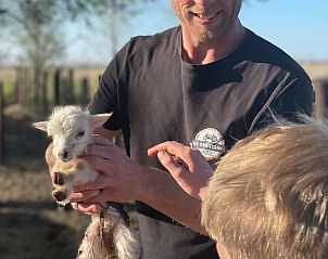 Guest house 2617012 - Holiday property Het Friese platteland - Vakantiehuis in veenwouden