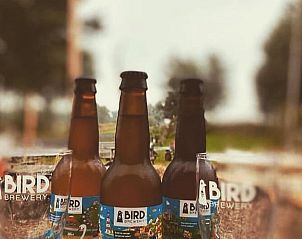 Guest house 2617012 - Holiday property Het Friese platteland - Vakantiehuis in veenwouden