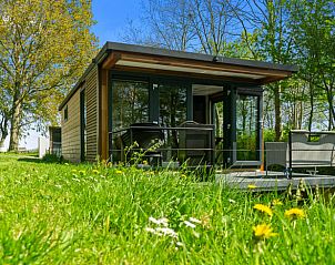 Ontdek de groene omgeving rondom Vakantiehuisje in Weidum, ideaal voor natuurliefhebbers in Friesland.