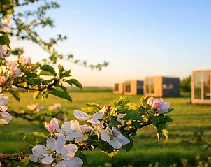 Verblijf 2617206 - Vakantiewoning Het Friese platteland - Bleipet Weidesuite