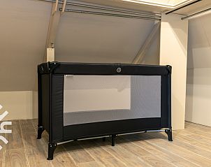 Wilde natuur met herten rondom FR411 vakantiehuis, Oudeschoot, Friesland.