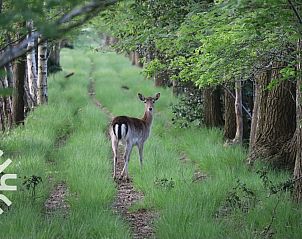 Moderne badkamer met dubbele wastafel in FR411 vakantiehuis, Oudeschoot.
