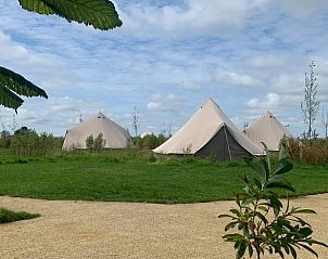 Glamping tenten bij Vakantiehuis in Britswert, omgeven door het groene Friese landschap.