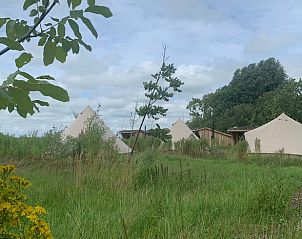 Groene omgeving bij Vakantiehuis in Britswert, met diverse glamping tenten.
