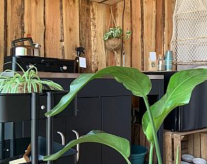 Binnenruimte met planten in Huisje in Britswert, vakantiewoning in Friesland.