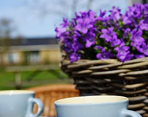 Geniet van koffie op het terras van Vakantiehuis in Wjelsryp, omgeven door bloemen.