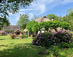 Guest house 2618204 • Holiday property Het Friese platteland • Vakantiehuis in Olterterp 