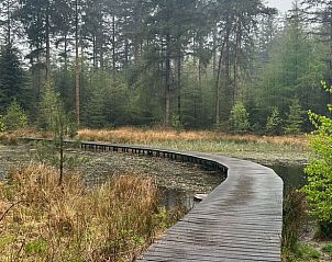 Verblijf 2618205 - Vakantiewoning Het Friese platteland - Huisje in Olterterp