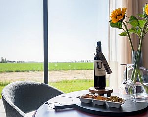 Gezellige sfeer in Vakantiehuis in Slappeterp met wijn en snacks in Friesland.