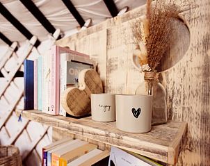 Boekenplank met decoratieve elementen in Vakantiehuis in Parrega, gelegen op het Friese platteland.